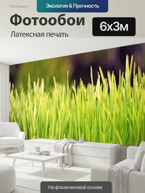 600 × 300 см · Латексная печать