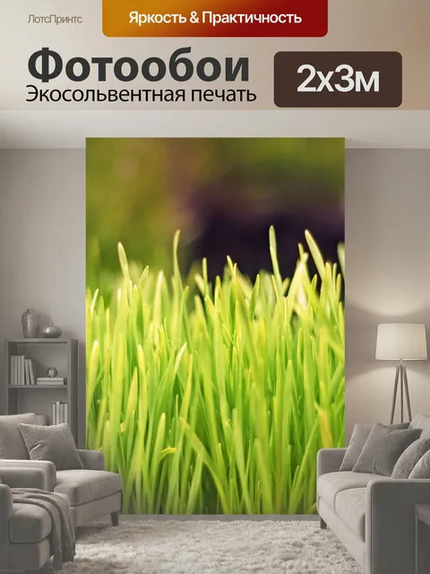 200 × 300 см · Экосольвентная печать