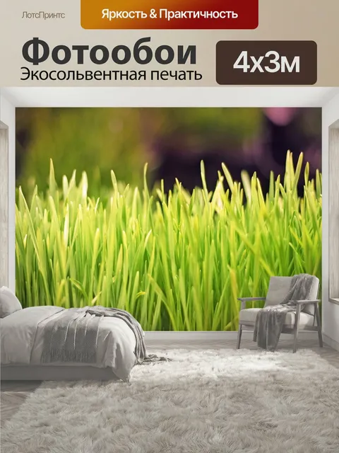 400 × 300 см · Экосольвентная печать