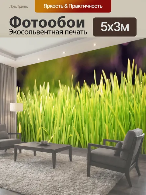 Фотообои Ростки пшеницы в сок магазине. пырей трава зеленый сока сок здоровый питание травы растения