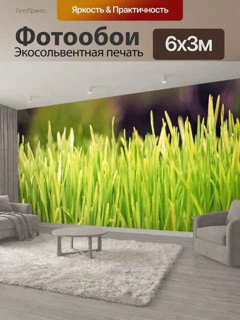 600 × 300 см · Экосольвентная печать