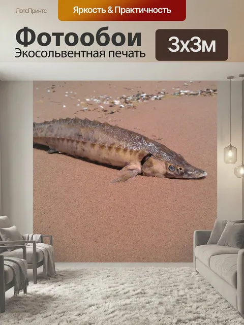 Фотообои Осетр, рыбы, пляж