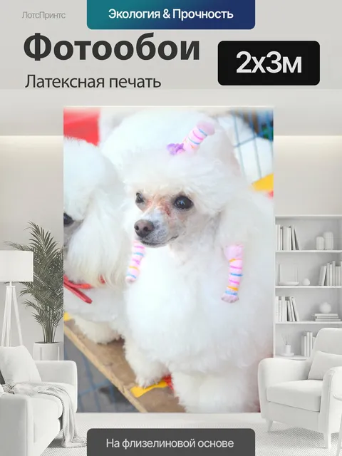 200 × 300 см · Латексная печать