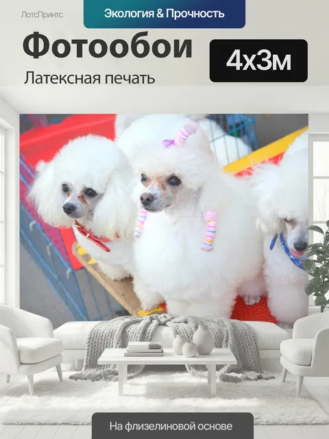 400 × 300 см · Латексная печать