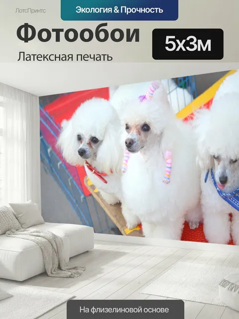 500 × 300 см · Латексная печать