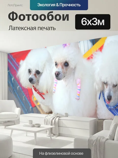 600 × 300 см · Латексная печать