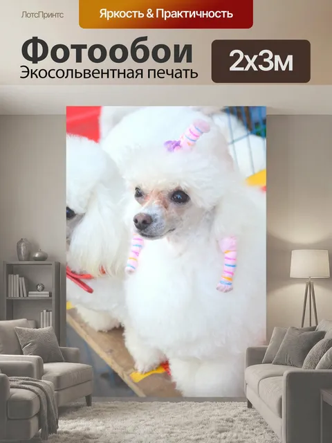 200 × 300 см · Экосольвентная печать