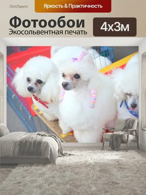 400 × 300 см · Экосольвентная печать
