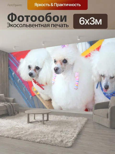 600 × 300 см · Экосольвентная печать