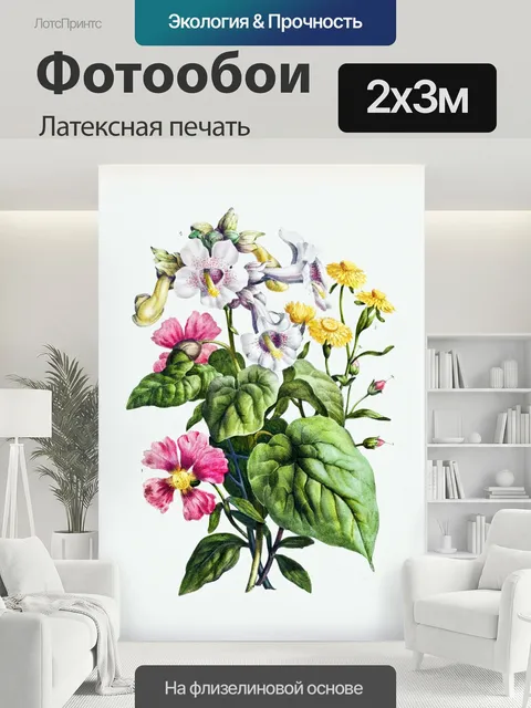 200 × 300 см · Латексная печать