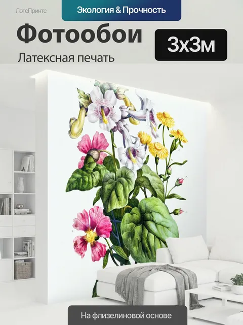 300 × 300 см · Латексная печать