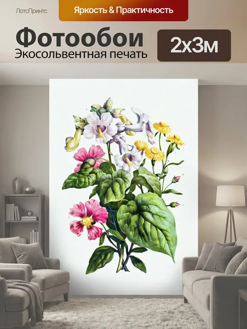 200 × 300 см · Экосольвентная печать